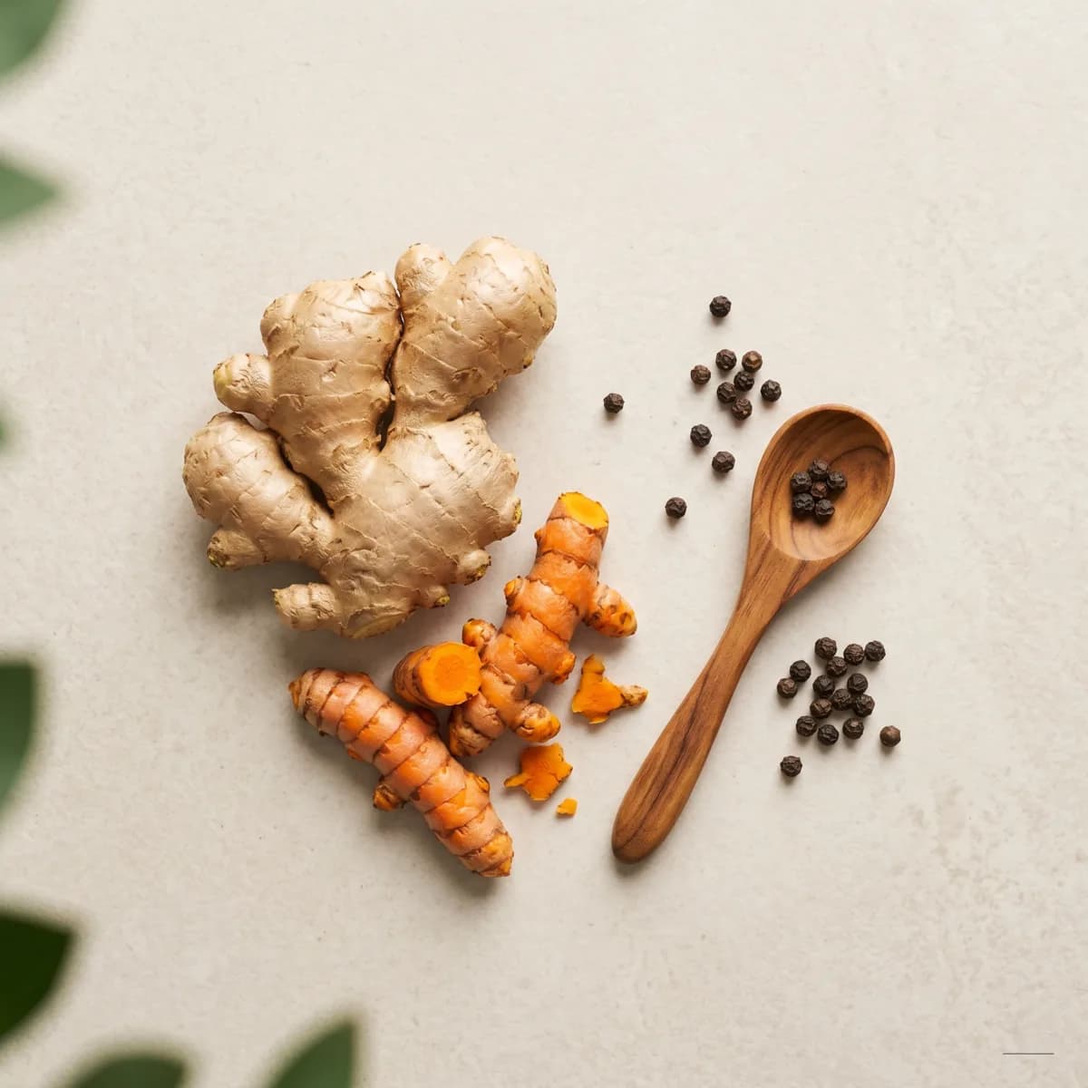 Whole turmeric and ginger roots on a stone surface